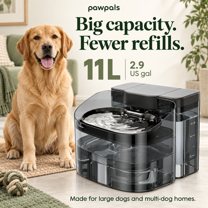 PawPals 11L Extra-Large Dog Water Fountain